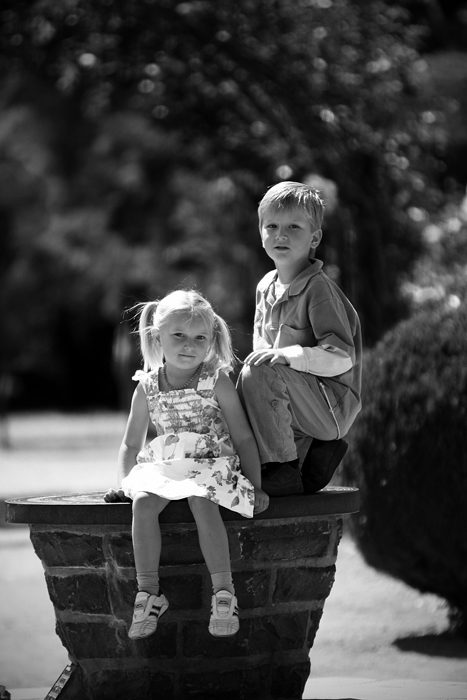 IMG_2436 copy