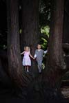 IMG_0086 copy
