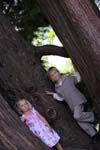 IMG_2367 copy