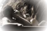 _MG_0066 (1) (1)_1