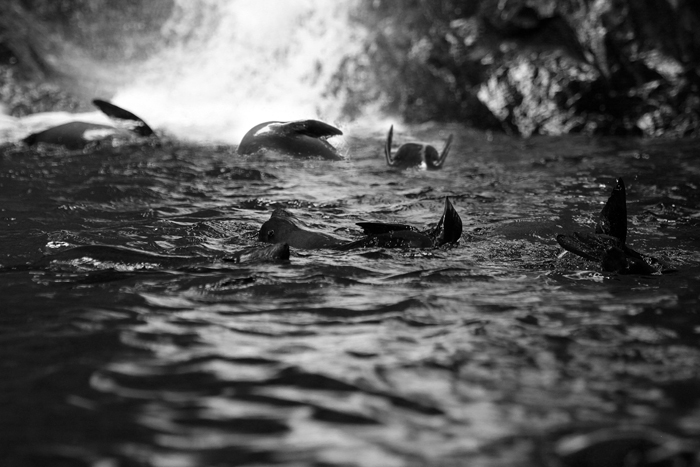 IMG_0619