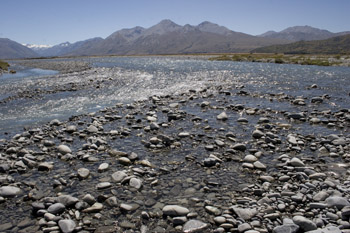 _MG_0026 (1)