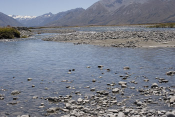 _MG_0032 (1)