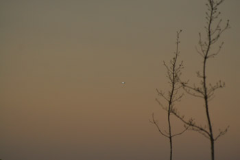 _MG_0044 (1)