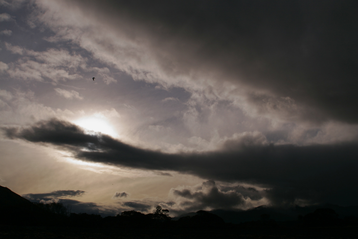 _MG_6486 (1)