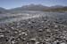 _MG_0026 (1)