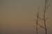 _MG_0044 (1)