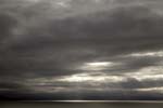 _MG_9137 (1)
