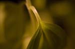 _MG_9541