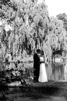 wedding (1)