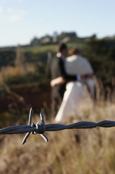 wedding (100)