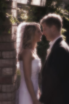 wedding (14)
