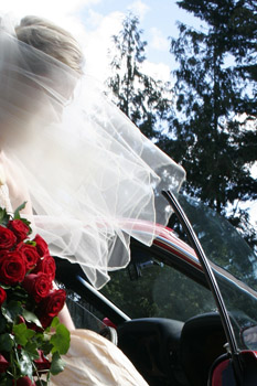 wedding (31)