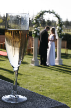 wedding (7)