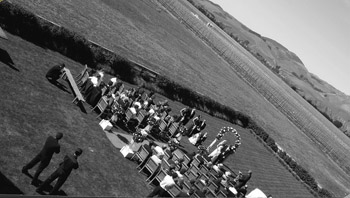 wedding (8)