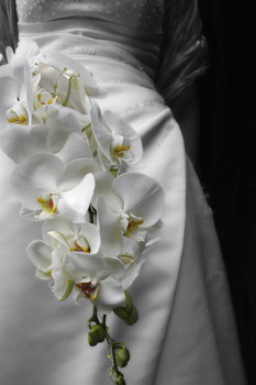 wedding (91)