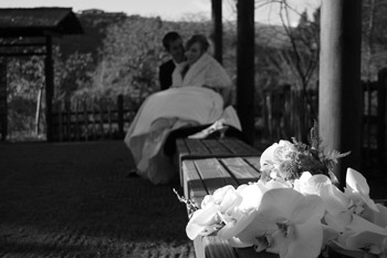 wedding (94)
