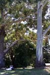 IMG_1290 copy