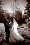 IMG_3788 copy 2