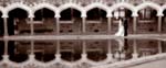 IMG_3818 (1) copy 2
