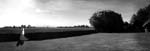 IMG_7123 copy