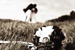 Picture 1267